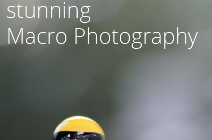 Photography Tips | Macro Photography | 5 tips for taking stunning macro photographs. Great for beginning photographers.