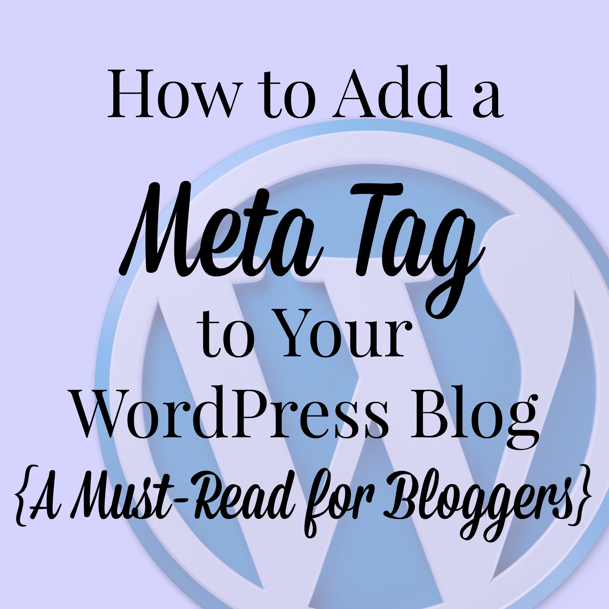 add a meta tag