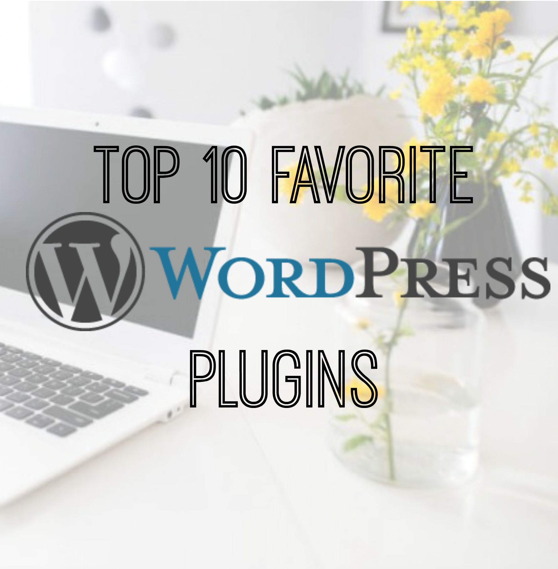 wordpress plugins