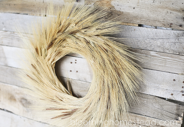 This beautiful wheat wreath is the perfect way to make your scream Fall in the country time. It looks way more expensive than it is!