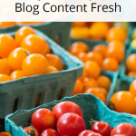 Blog Tips | Are you struggling to come up with things to write about on your blog? Use these 8 tips and writing prompt resources to keep your blog content fresh.