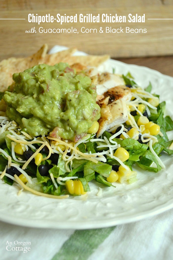 This Chipotle rub is the perfect way to prepare a Mexican inspired dinner!