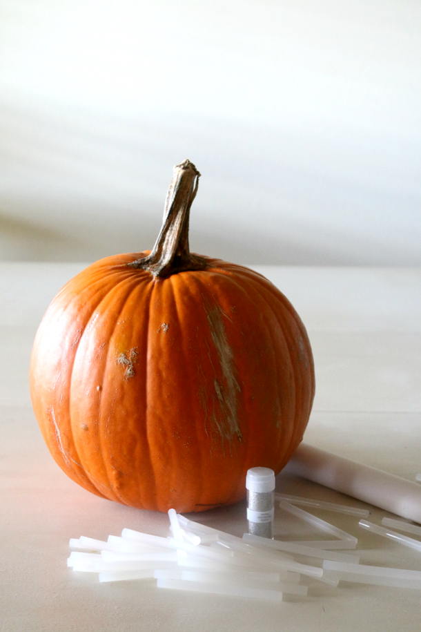 pumpkin-spiderweb