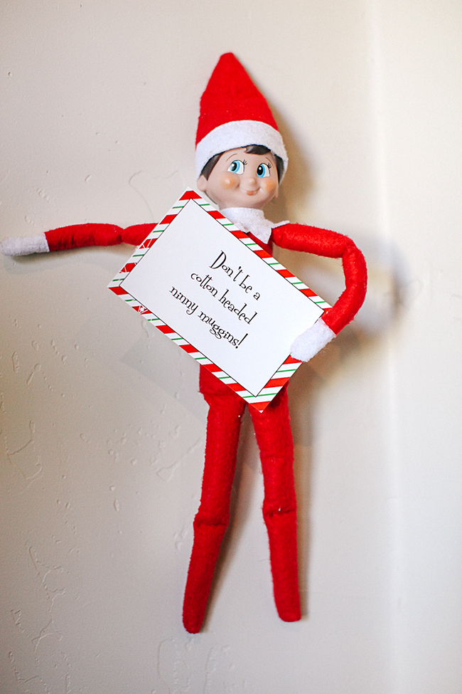 Our Elf tells Darth Vader not to be a Cotton Headed Ninny Muggins!