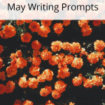 Do you need a little writing inspiration? We have writing prompts for each day of May to help you write and blog all month long.