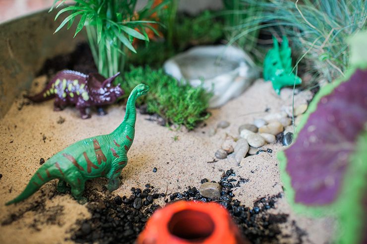 dino4