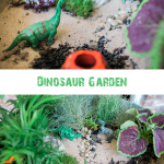 Make your own dinosaur garden! This is a fun summer activity to do with your kids. Choose plants that are easy to maintain, and watch their love of gardening grow. Don't forget to include a venus fly trap - no dino garden should be without one.