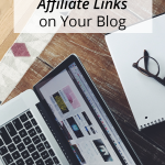 Make money online with affiliate links on your blog. This is a great way to earn passive income.