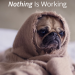 Do you feel like you are spinning your wheels and not seeing any growth in your blog? You aren't alone - all bloggers go through this at some point. This article has great advice and encouragement to help you get back on track.