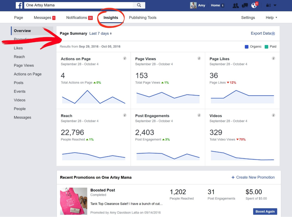 Facebook Page Insights 