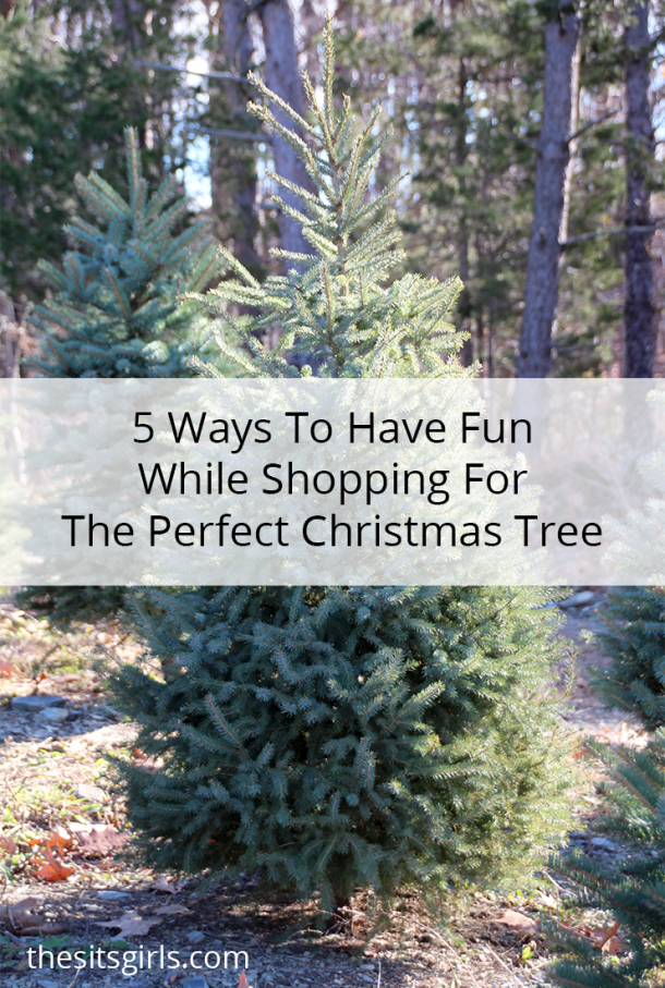 5 Ways To Build Memories At The Christmas Tree Farm