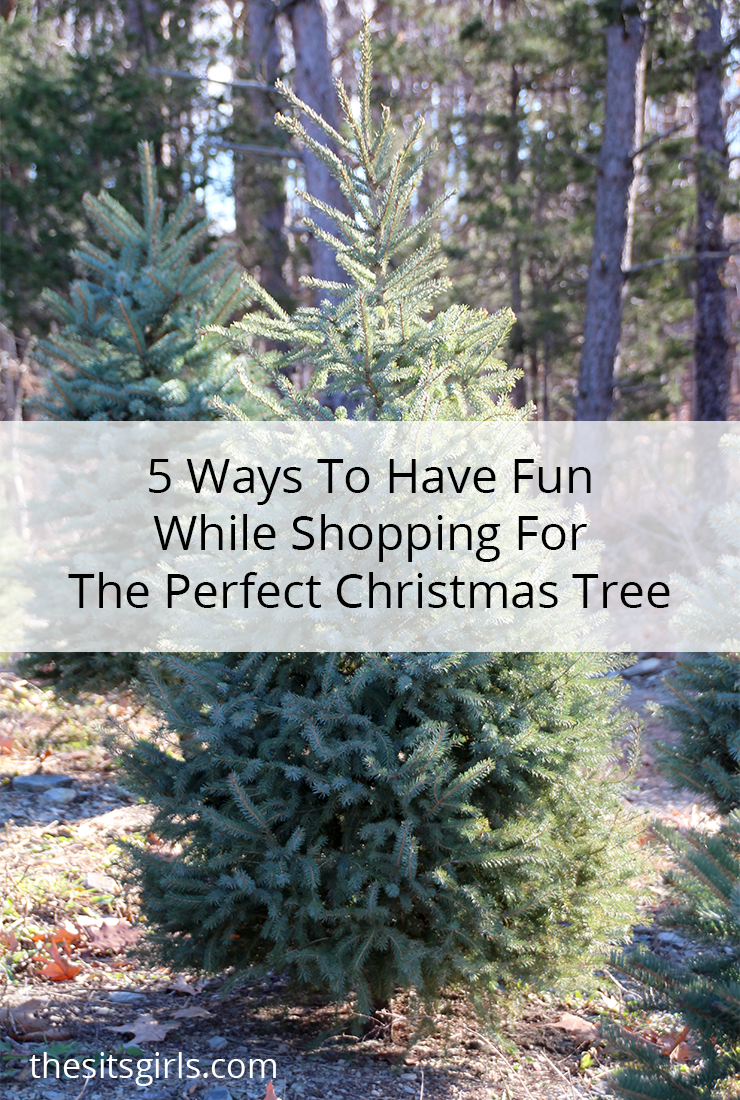 Loving these great tips for family fun at the Christmas tree farm! Celebrate Christmas with a real tree this year.
