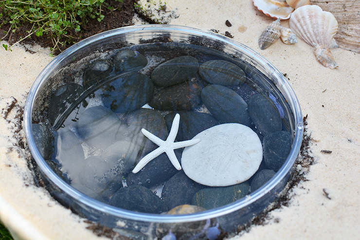 Use a plastic bowl as a fun feature in a fairy garden!