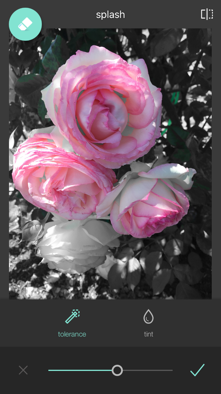 Pixlr App Photo Edit - color splash