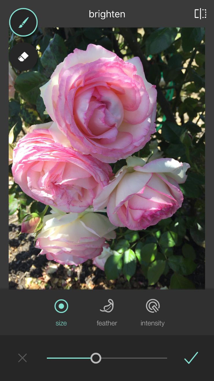 brighten photos with the pixlr app