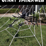 This giant lawn spiderweb is simply amazing!
