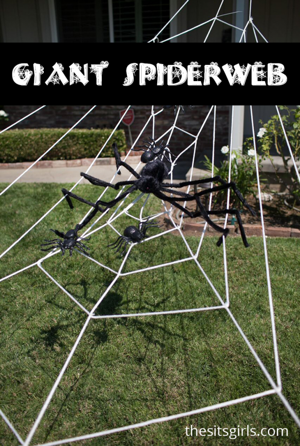 This giant lawn spiderweb is simply amazing!