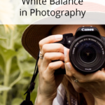 How to Set Your White Balance in Photography