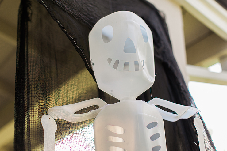 Use our handy template to make this cute milk jug skeleton.