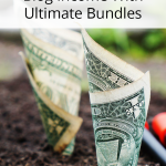 How To Make Money With Ultimate Bundles