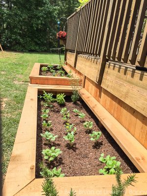 100 Backyard Garden Ideas Backyard Diy Projects