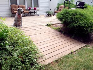 100 Backyard Garden Ideas | Backyard DIY Projects