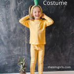 DIY Homemade Costumes