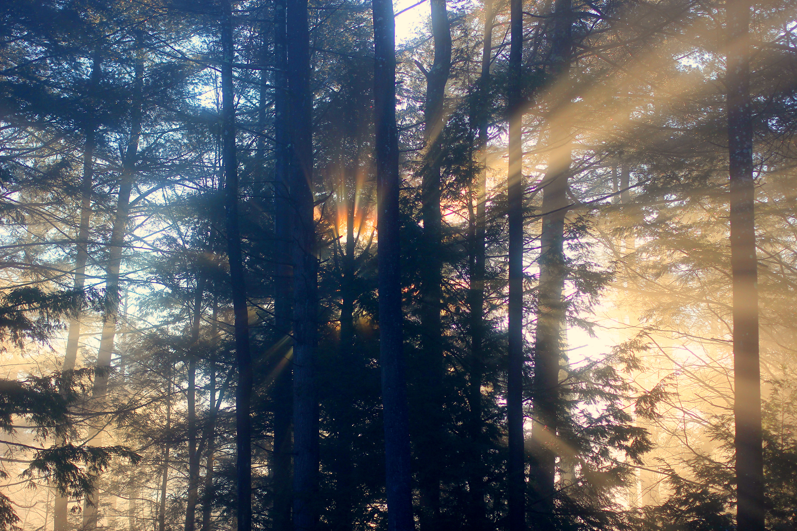 Sunset in cold weather