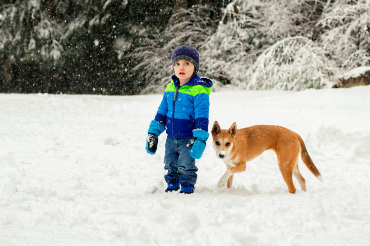 Boy and dog in snow