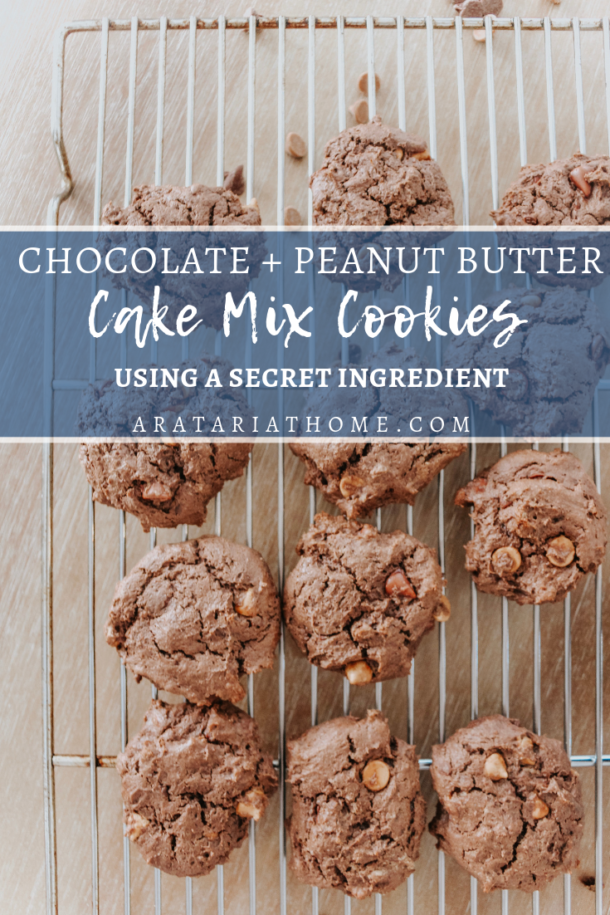 chocolate peanut butter cake mix cookies