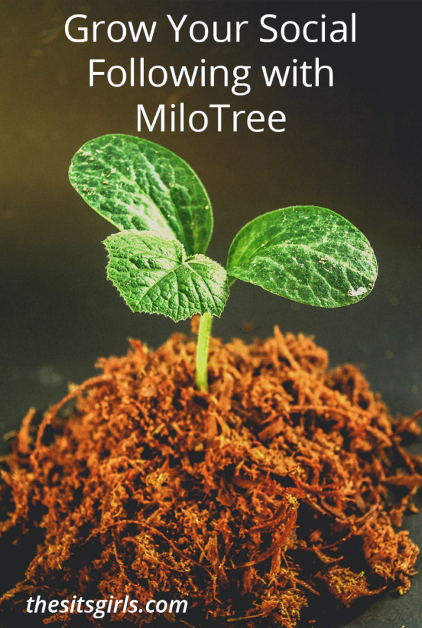 Grow Your Social Following With MiloTree