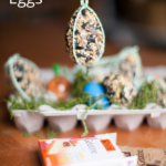 Birdseed Eggs
