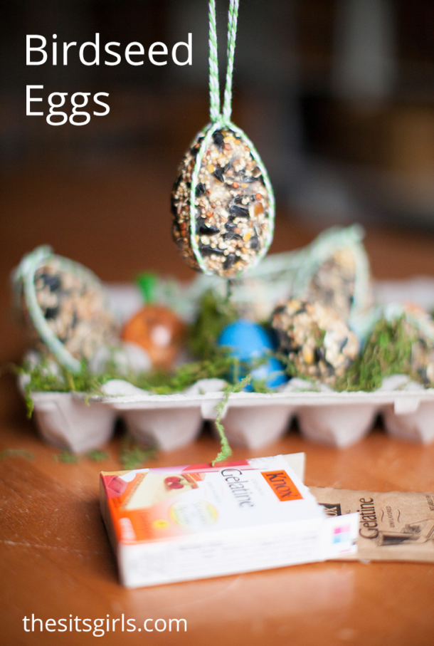 Birdseed Eggs