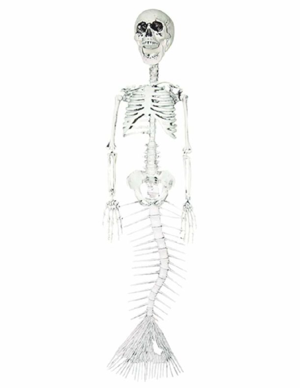 Mermaid Skeletons Are Here For Halloween | Underwater Halloween Decor