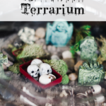 For Halloween this year, this is how you can are up the spooky factor on DIY terrariums and make a fun, festive Halloween Terrarium! It's fun and easy to do