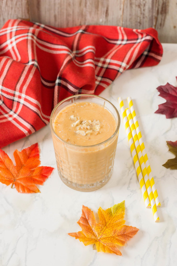 This Pumpkin Smoothie recipe is perfect for fall and tastes incredible too. It uses several tastes of the season and can be made fast and fresh for your day!