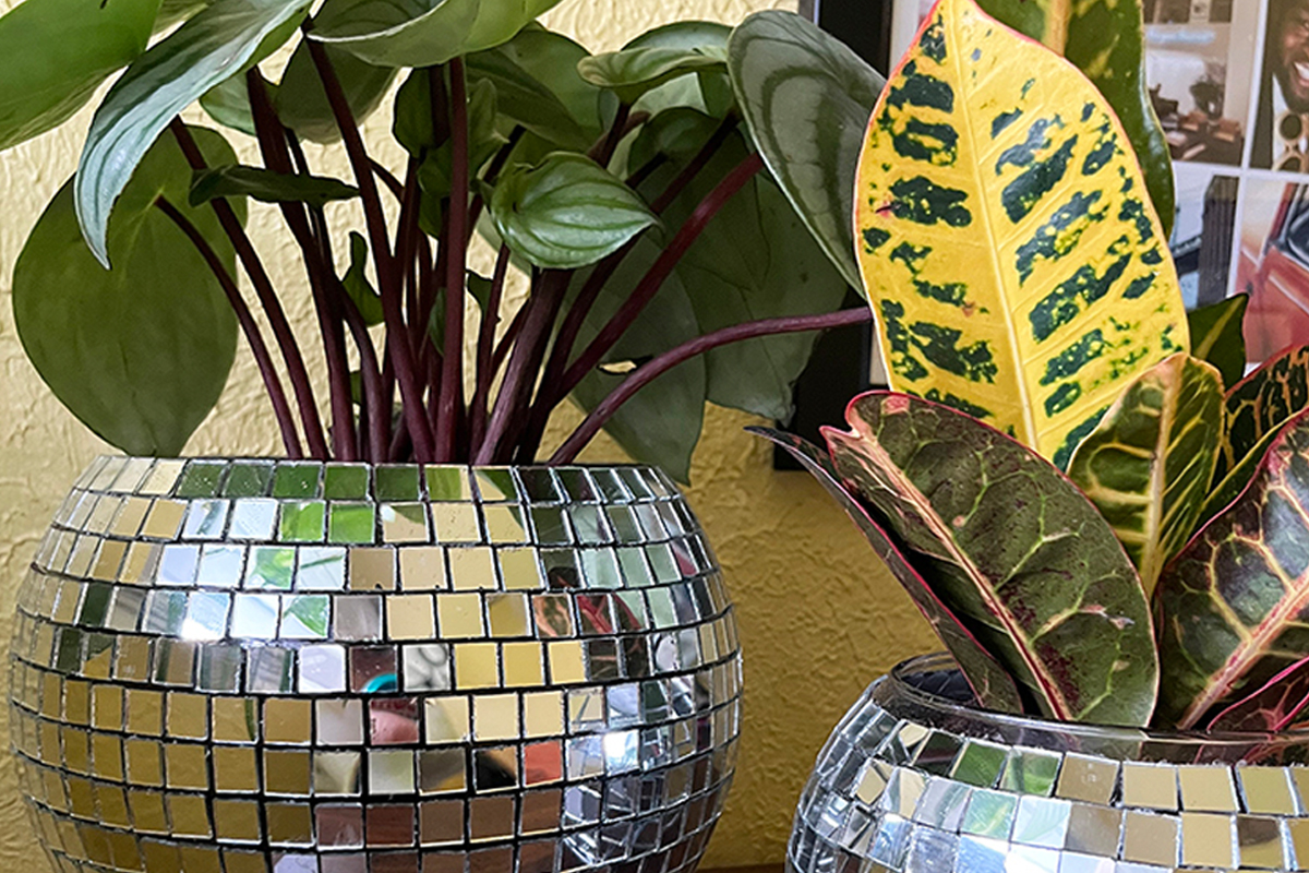 Disco Ball Planter DIY Mirror Ball Planter